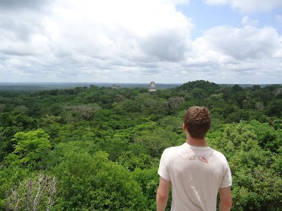 Art of Language Institute – Local Language Lessons – Math & Science Tutoring