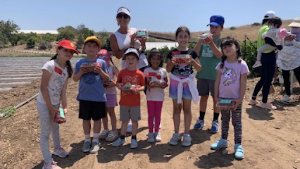 Portal Languages Mission Viejo / Laguna Niguel