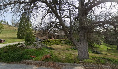 Ms. G Language School