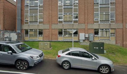 Waltham Dual Language School