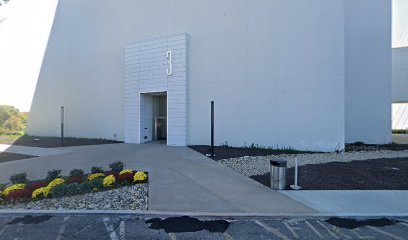 Spanish For Entities