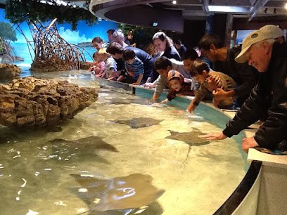 We R’ Spanish Learning